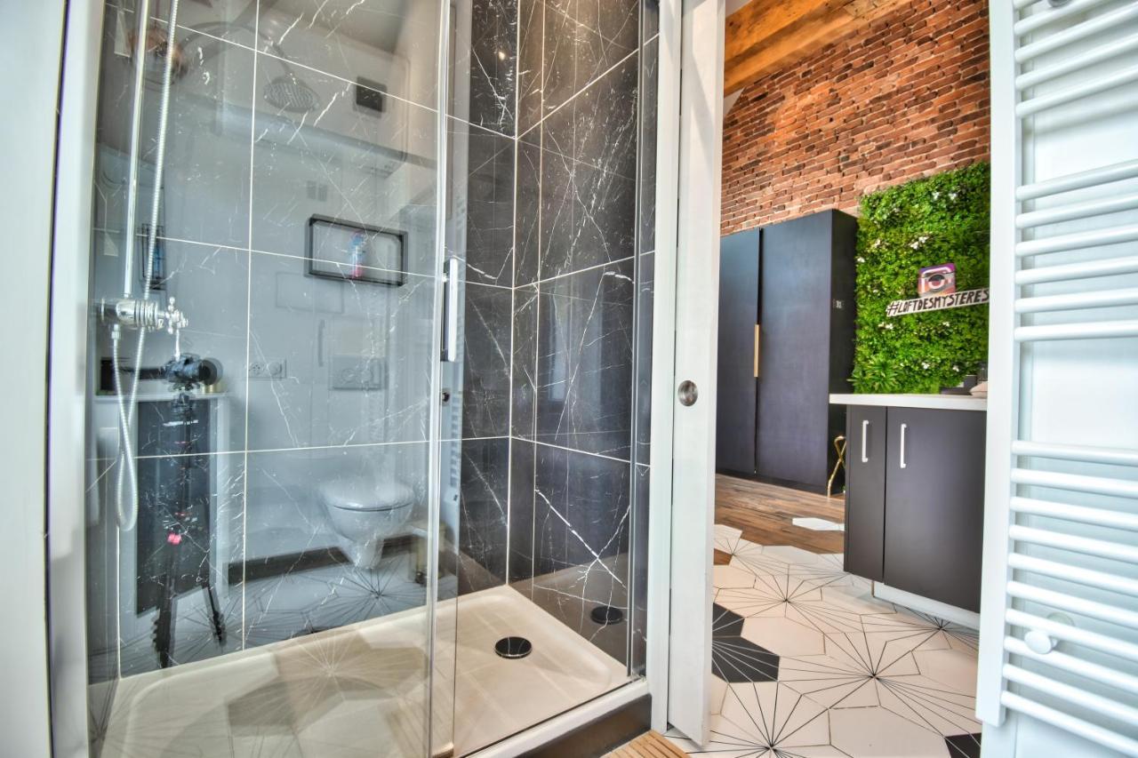 Апартаменти * Le Loft Des Mysteres * Меінтенон Екстер'єр фото